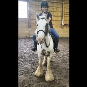 Meet your Posher, Taylor